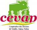 Logo Cevap
